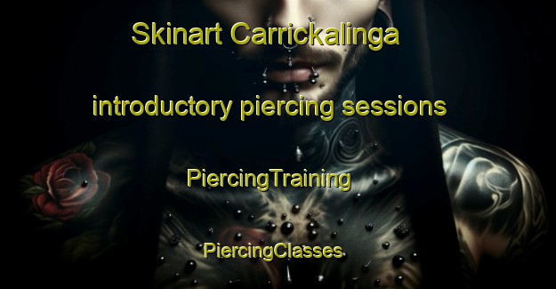 Skinart Carrickalinga introductory piercing sessions | PiercingTraining | PiercingClasses | SkinartTraining-Australia