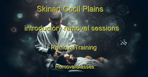 Skinart Cecil Plains introductory removal sessions | RemovalTraining | RemovalClasses | SkinartTraining-Australia
