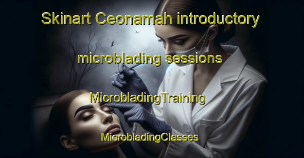 Skinart Ceonamah introductory microblading sessions | MicrobladingTraining | MicrobladingClasses | SkinartTraining-Australia
