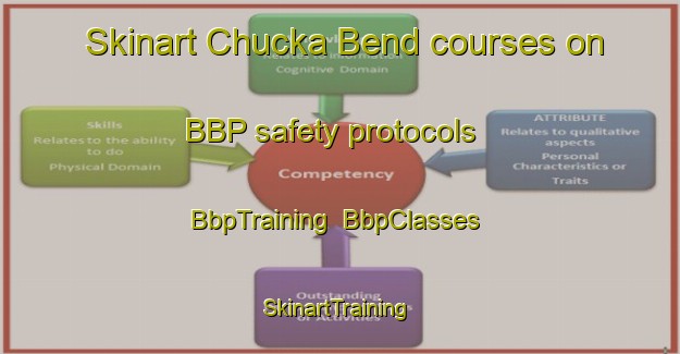 Skinart Chucka Bend courses on BBP safety protocols | BbpTraining | BbpClasses | SkinartTraining-Australia