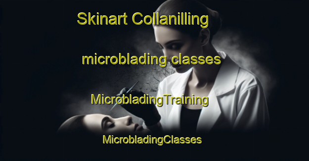 Skinart Collanilling microblading classes | MicrobladingTraining | MicrobladingClasses | SkinartTraining-Australia