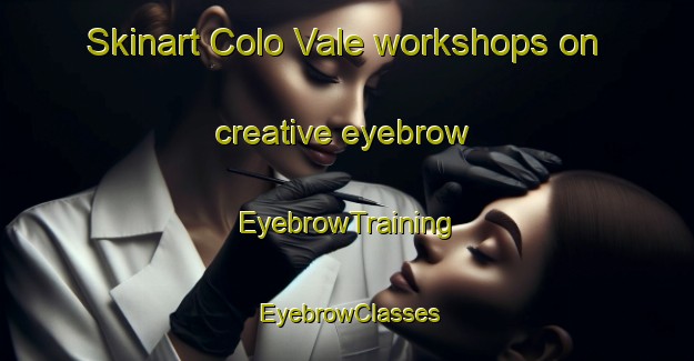 Skinart Colo Vale workshops on creative eyebrow | EyebrowTraining | EyebrowClasses | SkinartTraining-Australia
