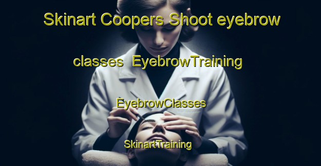 Skinart Coopers Shoot eyebrow classes | EyebrowTraining | EyebrowClasses | SkinartTraining-Australia