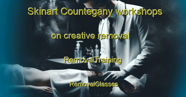Skinart Countegany workshops on creative removal | RemovalTraining | RemovalClasses | SkinartTraining-Australia