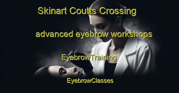Skinart Coutts Crossing advanced eyebrow workshops | EyebrowTraining | EyebrowClasses | SkinartTraining-Australia
