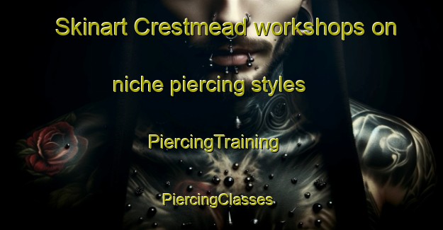 Skinart Crestmead workshops on niche piercing styles | PiercingTraining | PiercingClasses | SkinartTraining-Australia