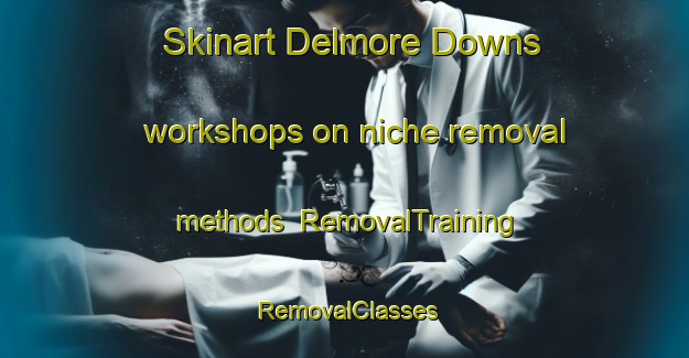 Skinart Delmore Downs workshops on niche removal methods | RemovalTraining | RemovalClasses | SkinartTraining-Australia
