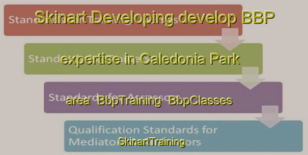 Skinart Developing develop BBP expertise in Caledonia Park area | BbpTraining | BbpClasses | SkinartTraining-Australia