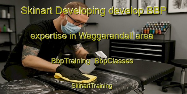 Skinart Developing develop BBP expertise in Waggarandall area | BbpTraining | BbpClasses | SkinartTraining-Australia