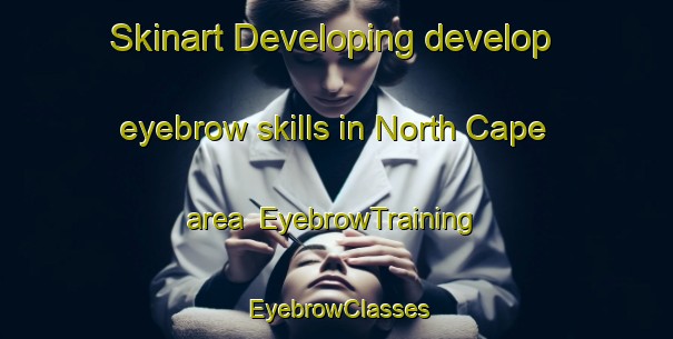 Skinart Developing develop eyebrow skills in North Cape area | EyebrowTraining | EyebrowClasses | SkinartTraining-Australia