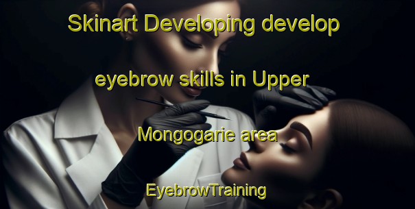 Skinart Developing develop eyebrow skills in Upper Mongogarie area | EyebrowTraining | EyebrowClasses | SkinartTraining-Australia
