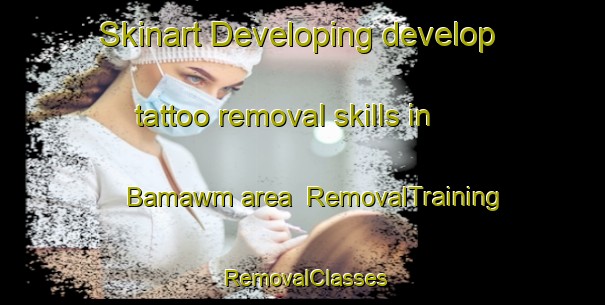 Skinart Developing develop tattoo removal skills in Bamawm area | RemovalTraining | RemovalClasses | SkinartTraining-Australia