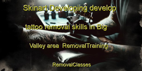 Skinart Developing develop tattoo removal skills in Big Valley area | RemovalTraining | RemovalClasses | SkinartTraining-Australia