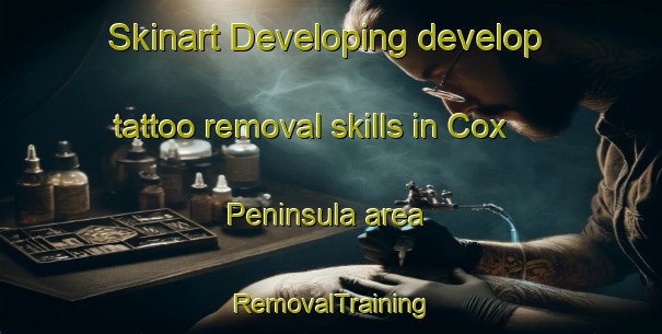 Skinart Developing develop tattoo removal skills in Cox Peninsula area | RemovalTraining | RemovalClasses | SkinartTraining-Australia
