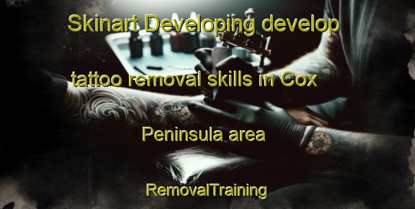 Skinart Developing develop tattoo removal skills in Cox Peninsula area | RemovalTraining | RemovalClasses | SkinartTraining-Australia