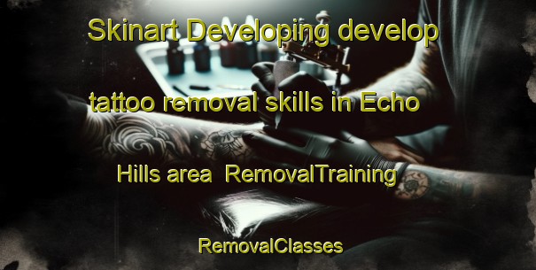 Skinart Developing develop tattoo removal skills in Echo Hills area | RemovalTraining | RemovalClasses | SkinartTraining-Australia