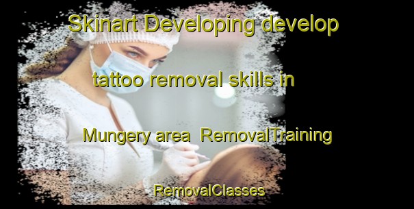 Skinart Developing develop tattoo removal skills in Mungery area | RemovalTraining | RemovalClasses | SkinartTraining-Australia