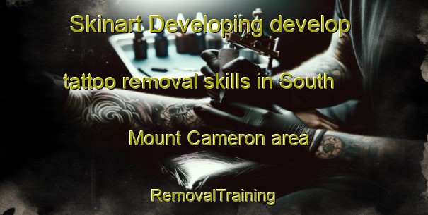 Skinart Developing develop tattoo removal skills in South Mount Cameron area | RemovalTraining | RemovalClasses | SkinartTraining-Australia