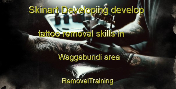 Skinart Developing develop tattoo removal skills in Waggabundi area | RemovalTraining | RemovalClasses | SkinartTraining-Australia