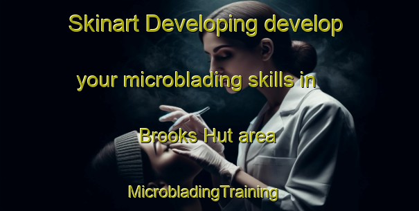 Skinart Developing develop your microblading skills in Brooks Hut area | MicrobladingTraining | MicrobladingClasses | SkinartTraining-Australia