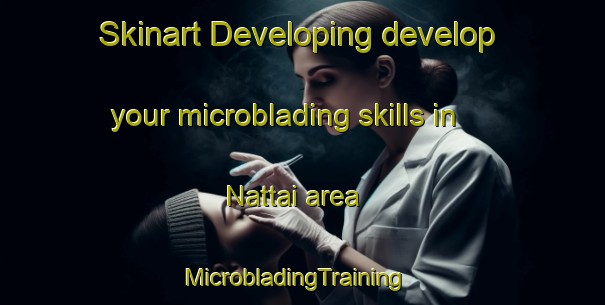 Skinart Developing develop your microblading skills in Nattai area | MicrobladingTraining | MicrobladingClasses | SkinartTraining-Australia