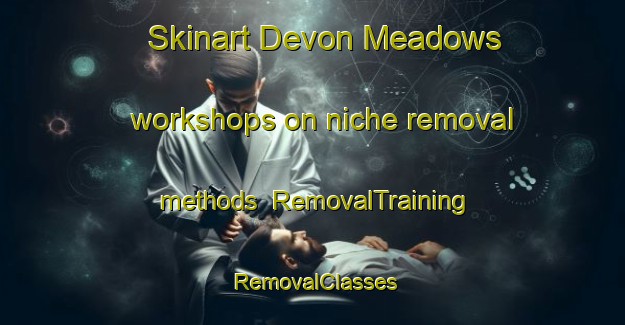Skinart Devon Meadows workshops on niche removal methods | RemovalTraining | RemovalClasses | SkinartTraining-Australia