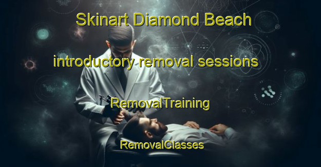Skinart Diamond Beach introductory removal sessions | RemovalTraining | RemovalClasses | SkinartTraining-Australia