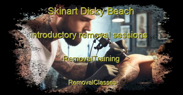 Skinart Dicky Beach introductory removal sessions | RemovalTraining | RemovalClasses | SkinartTraining-Australia