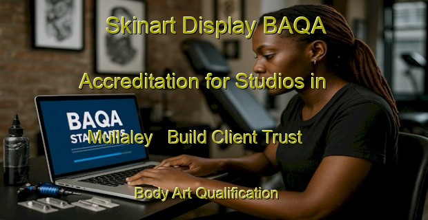 Skinart Display BAQA Accreditation for Studios in Mullaley - Build Client Trust | Body Art Qualification Authority | BAQA-Australia