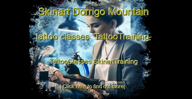 Skinart Dorrigo Mountain tattoo classes | #TattooTraining #TattooClasses #SkinartTraining-Australia