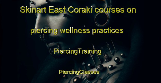Skinart East Coraki courses on piercing wellness practices | PiercingTraining | PiercingClasses | SkinartTraining-Australia
