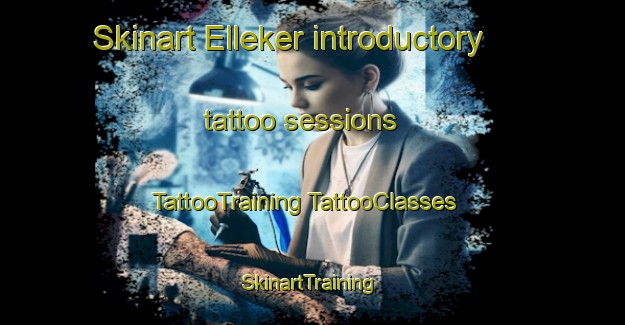 Skinart Elleker introductory tattoo sessions | #TattooTraining #TattooClasses #SkinartTraining-Australia