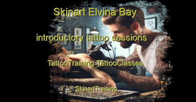 Skinart Elvina Bay introductory tattoo sessions | #TattooTraining #TattooClasses #SkinartTraining-Australia