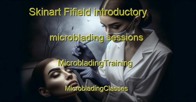 Skinart Fifield introductory microblading sessions | MicrobladingTraining | MicrobladingClasses | SkinartTraining-Australia