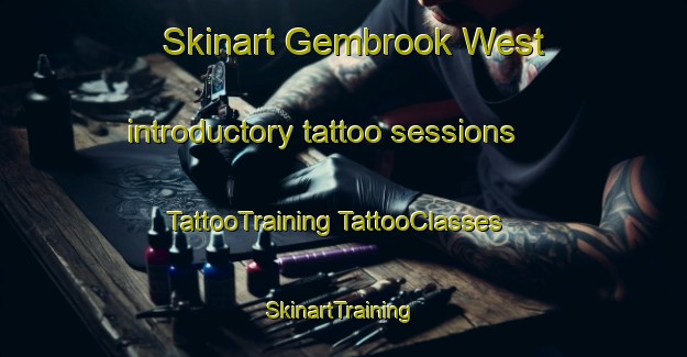 Skinart Gembrook West introductory tattoo sessions | #TattooTraining #TattooClasses #SkinartTraining-Australia