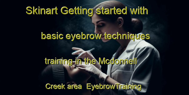 Skinart Getting started with basic eyebrow techniques training in the Mcdonnell Creek area | EyebrowTraining | EyebrowClasses | SkinartTraining-Australia