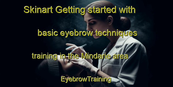 Skinart Getting started with basic eyebrow techniques training in the Mindarie area | EyebrowTraining | EyebrowClasses | SkinartTraining-Australia