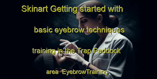 Skinart Getting started with basic eyebrow techniques training in the Trap Paddock area | EyebrowTraining | EyebrowClasses | SkinartTraining-Australia