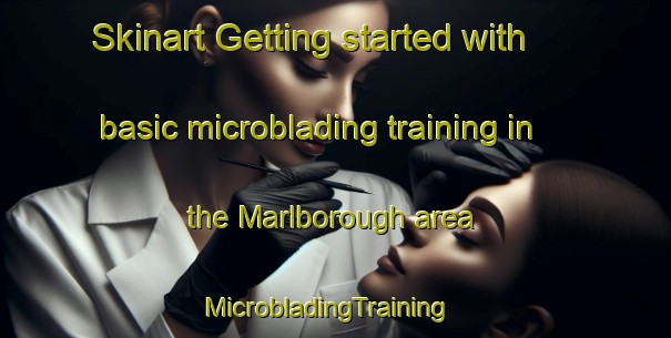 Skinart Getting started with basic microblading training in the Marlborough area | MicrobladingTraining | MicrobladingClasses | SkinartTraining-Australia
