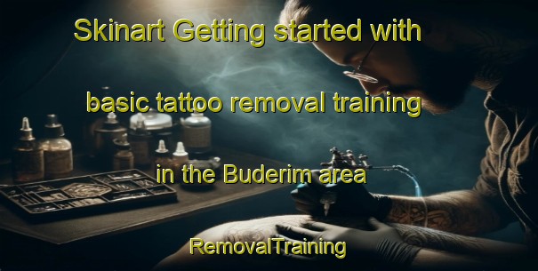 Skinart Getting started with basic tattoo removal training in the Buderim area | RemovalTraining | RemovalClasses | SkinartTraining-Australia