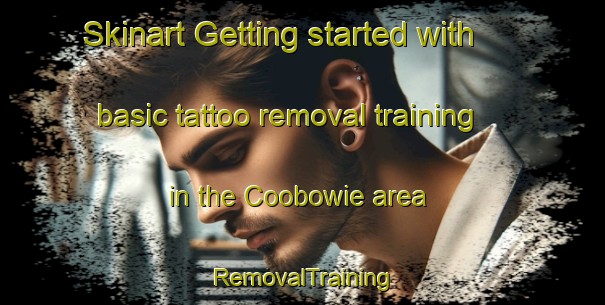 Skinart Getting started with basic tattoo removal training in the Coobowie area | RemovalTraining | RemovalClasses | SkinartTraining-Australia