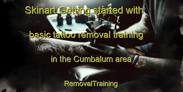 Skinart Getting started with basic tattoo removal training in the Cumbalum area | RemovalTraining | RemovalClasses | SkinartTraining-Australia