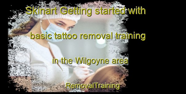 Skinart Getting started with basic tattoo removal training in the Wilgoyne area | RemovalTraining | RemovalClasses | SkinartTraining-Australia