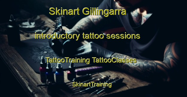 Skinart Gillingarra introductory tattoo sessions | #TattooTraining #TattooClasses #SkinartTraining-Australia