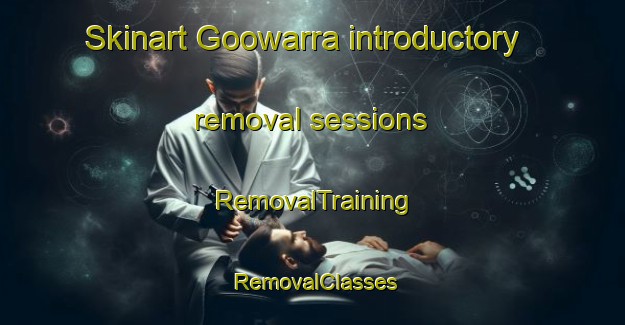Skinart Goowarra introductory removal sessions | RemovalTraining | RemovalClasses | SkinartTraining-Australia