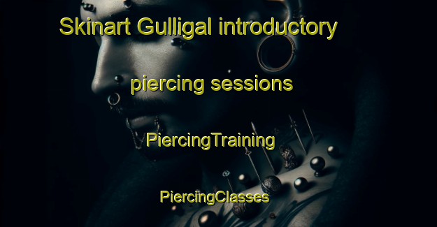 Skinart Gulligal introductory piercing sessions | PiercingTraining | PiercingClasses | SkinartTraining-Australia