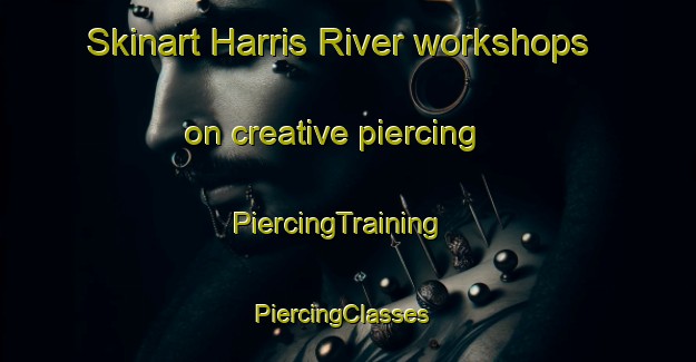 Skinart Harris River workshops on creative piercing | PiercingTraining | PiercingClasses | SkinartTraining-Australia