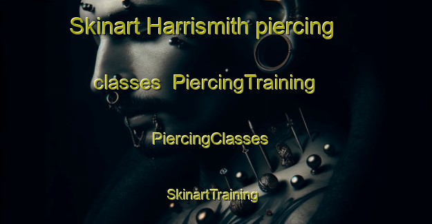 Skinart Harrismith piercing classes | PiercingTraining | PiercingClasses | SkinartTraining-Australia