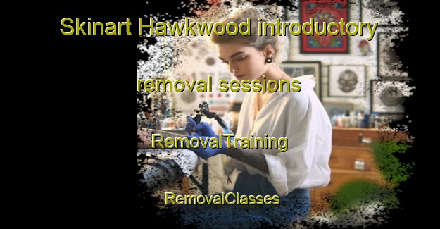 Skinart Hawkwood introductory removal sessions | RemovalTraining | RemovalClasses | SkinartTraining-Australia