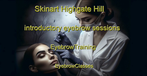 Skinart Highgate Hill introductory eyebrow sessions | EyebrowTraining | EyebrowClasses | SkinartTraining-Australia